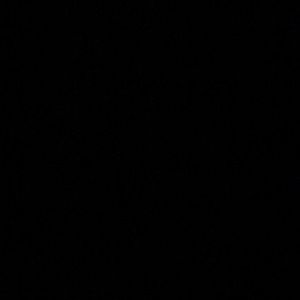 Meet your Posher, Roniya